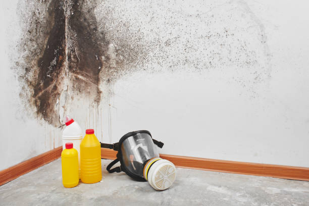 Best Crawl Space Mold Removal  in Tresckow, PA