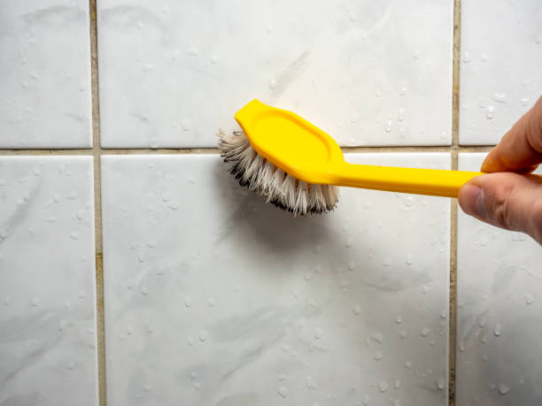Professional Mold Removal in Tresckow, PA