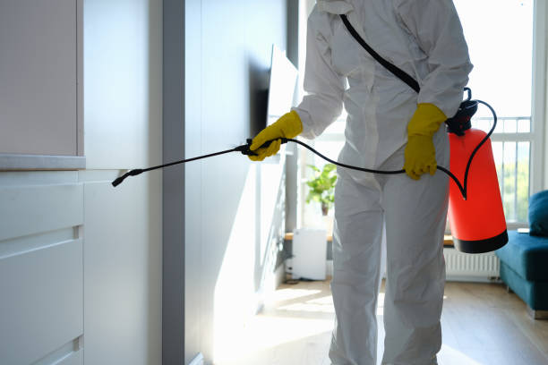 Best Attic Mold Removal  in Tresckow, PA