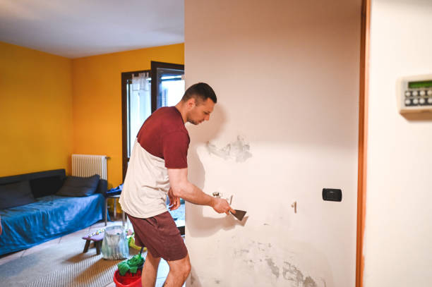 Best Best Mold Removal Companies  in Tresckow, PA